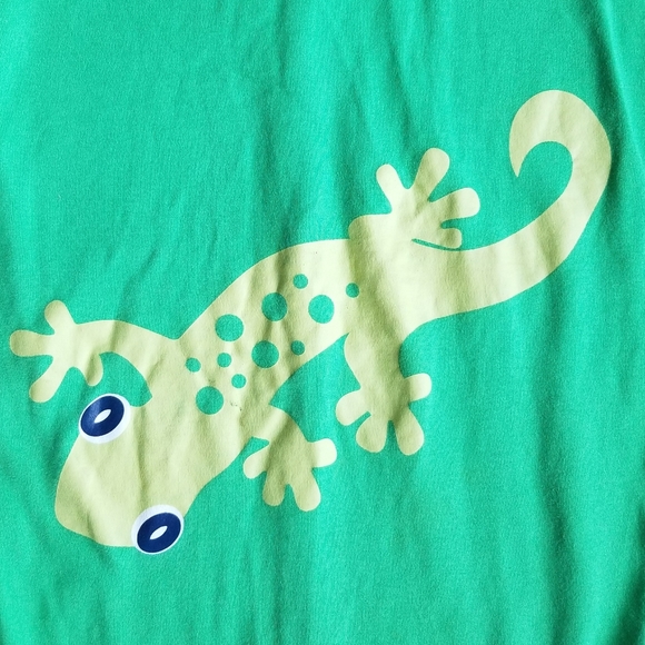 2009 vguc Hanna Andersson size 90 3T green lizard romper - Picture 3 of 12